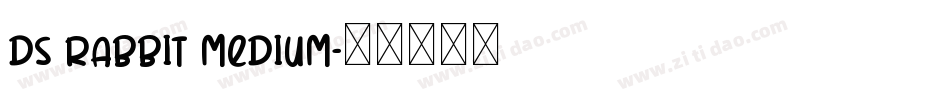 DS Rabbit Medium字体转换